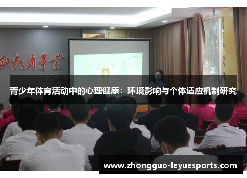 青少年体育活动中的心理健康：环境影响与个体适应机制研究