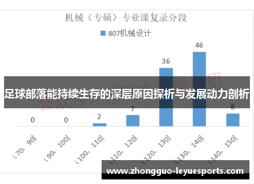 足球部落能持续生存的深层原因探析与发展动力剖析