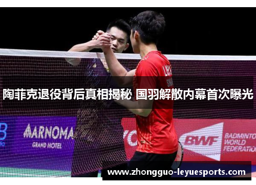 陶菲克退役背后真相揭秘 国羽解散内幕首次曝光